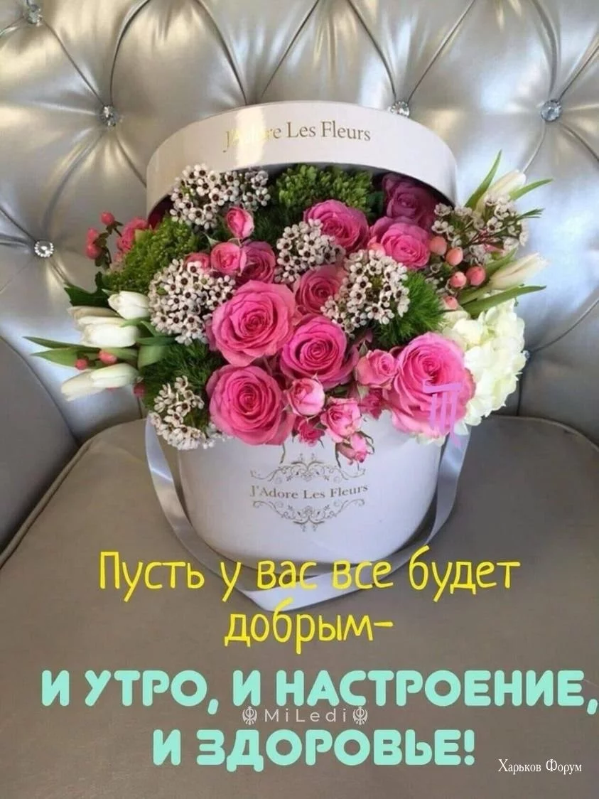 43295eb0a17096aba.webp
