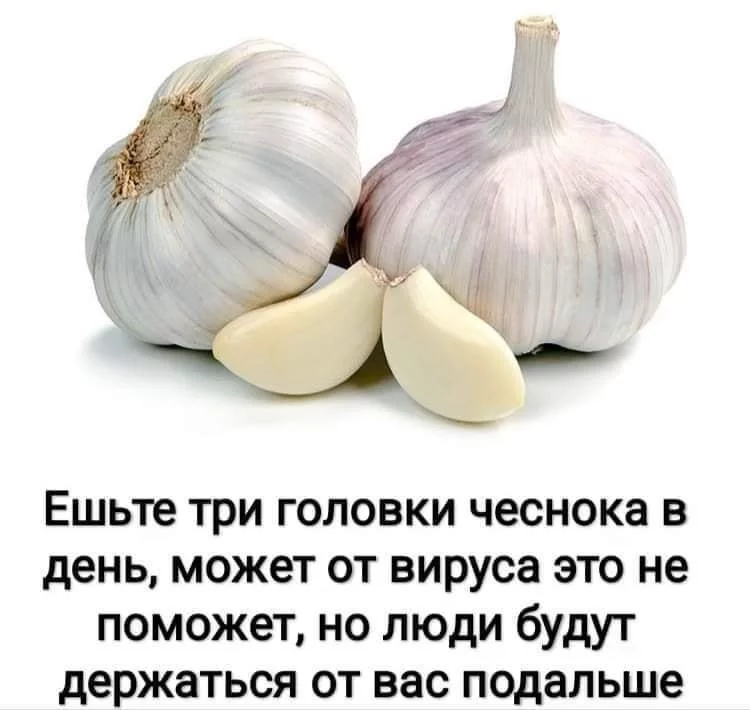 43313232c2f6f38e.webp