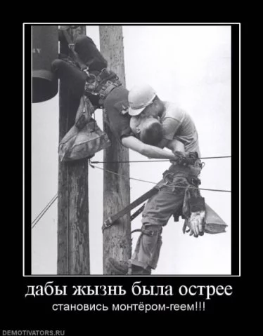43379596.webp