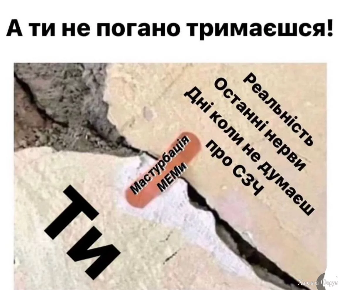 433872644_721831276698666_7024359918798085136_n.webp