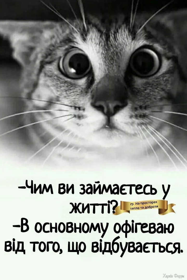 433f7b5312b0a7d88f3df1bb2eeddc8e.webp