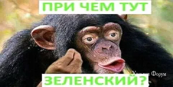 433f7b623d61629a.webp