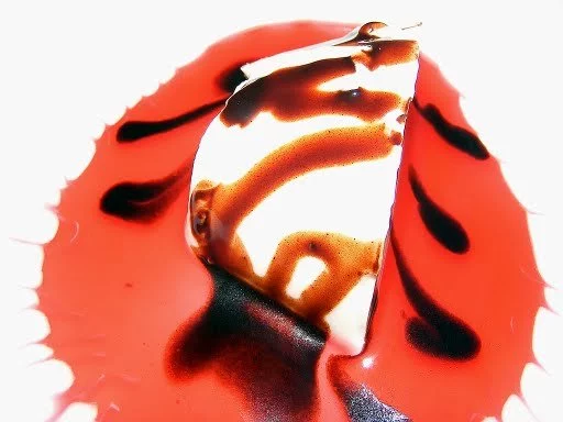 4345604393_1f140e7ee0_o.webp