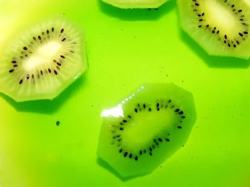 4346346614_11b3ac17ec_o.webp