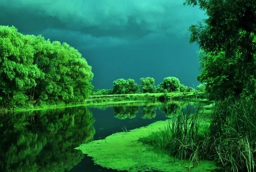 4346347524_86cd68bbbd.webp