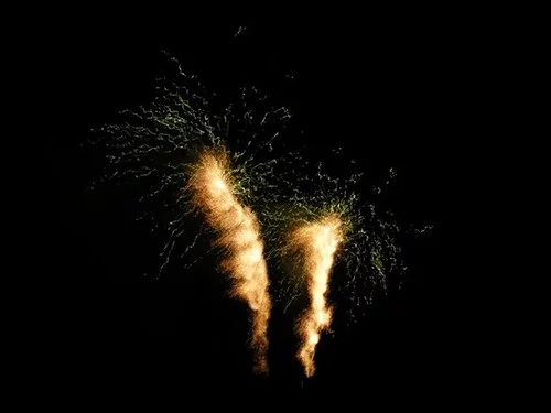 4346348454_55c1a49d6d.webp