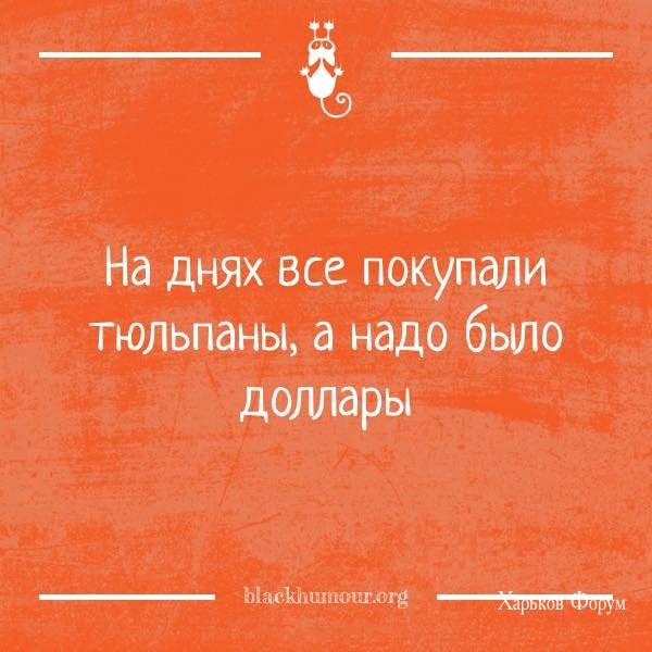 434e621304c5b52de.jpg