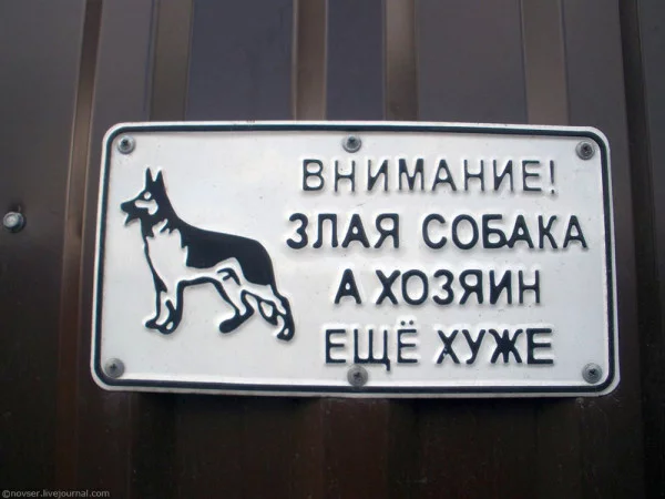 436652_600.webp