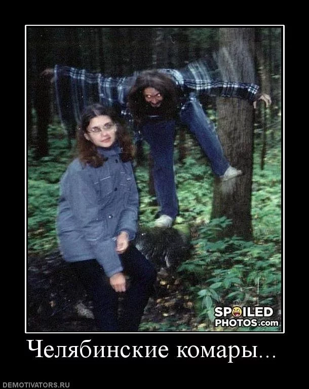 438583_chelyabinskie-komaryi.webp