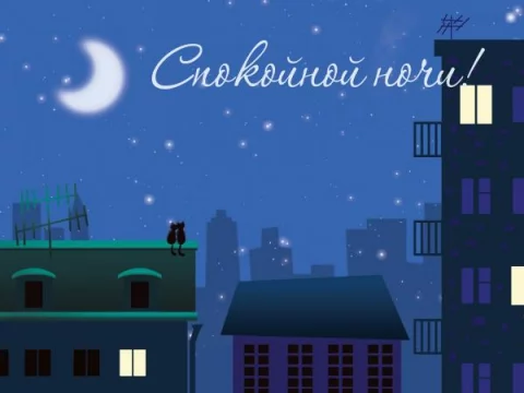 438795383.webp