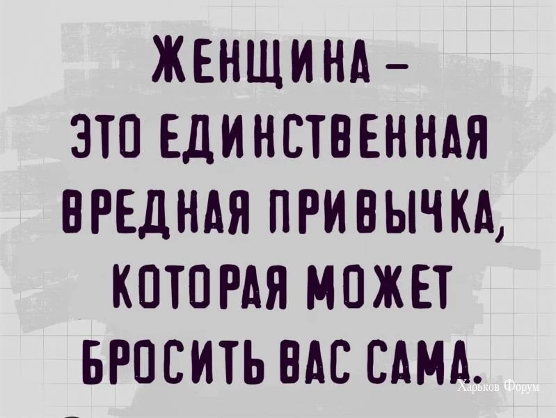 438c9741fc4b3b48.webp