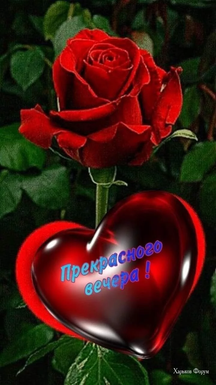 439118945b53f2dd1e.webp