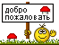 43a8409f82040fbeba8ed67.gif