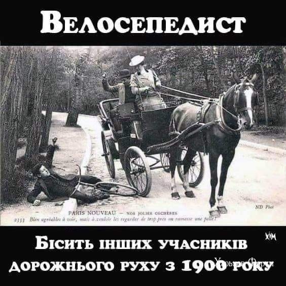 43b695fbd3d686c0255cc.jpg