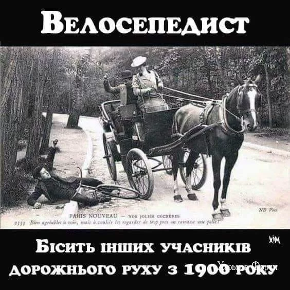 43b695fbd3d686c0255cc.webp