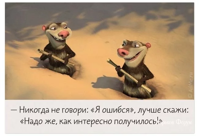 43bbb4082bc66e42b3b4.webp