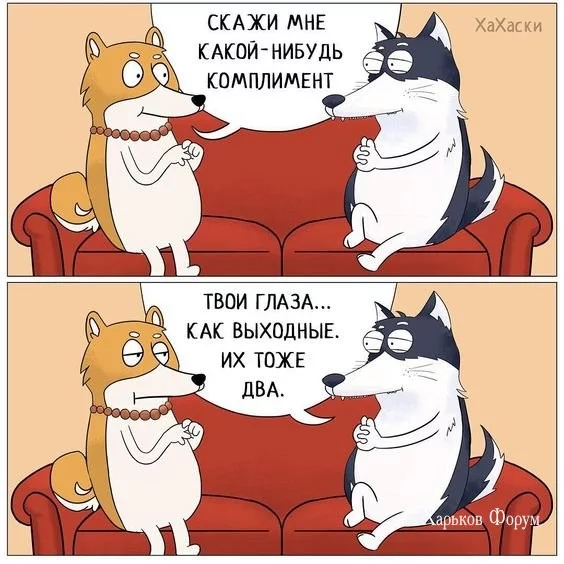 43cff94df3297fe1945658a.webp