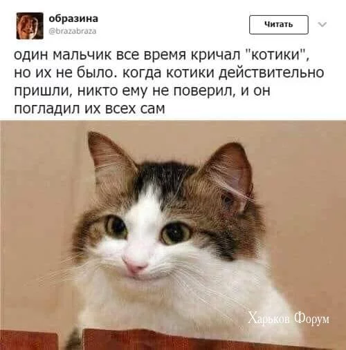 43f8224bfed140f9e6bc43f.webp