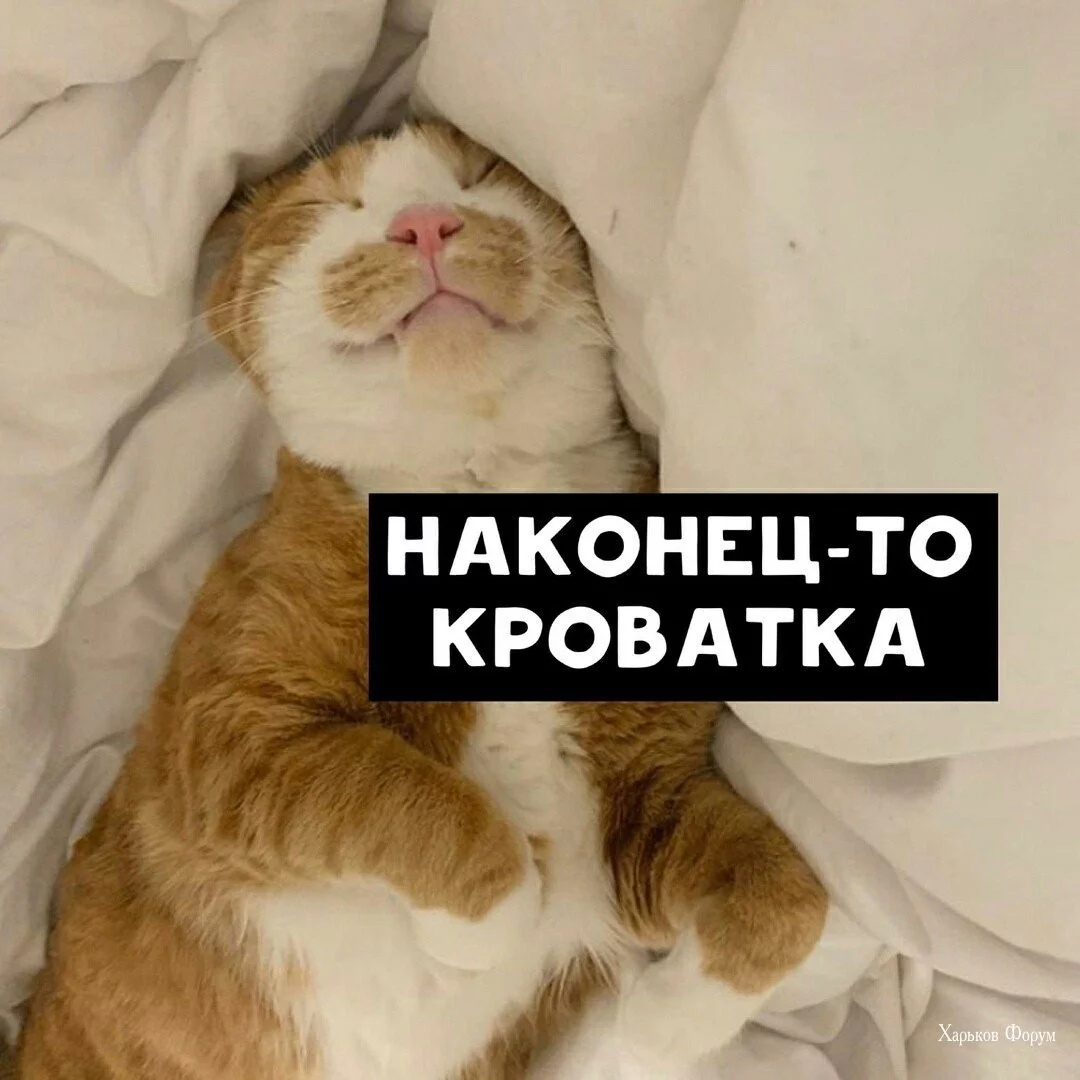 441175ea4977e85dce6900d.webp