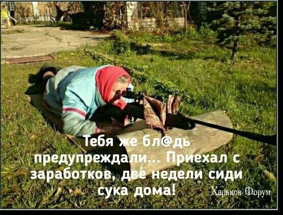 4415d94e8dd8b0c4ed8.jpg