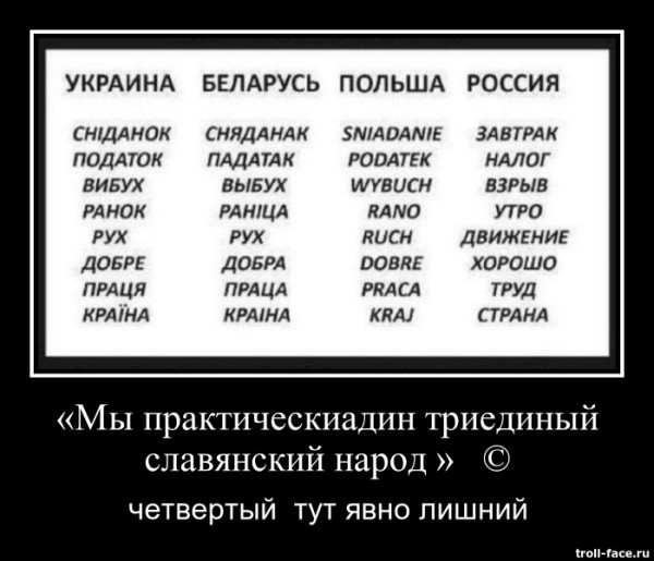 44166_600.jpg