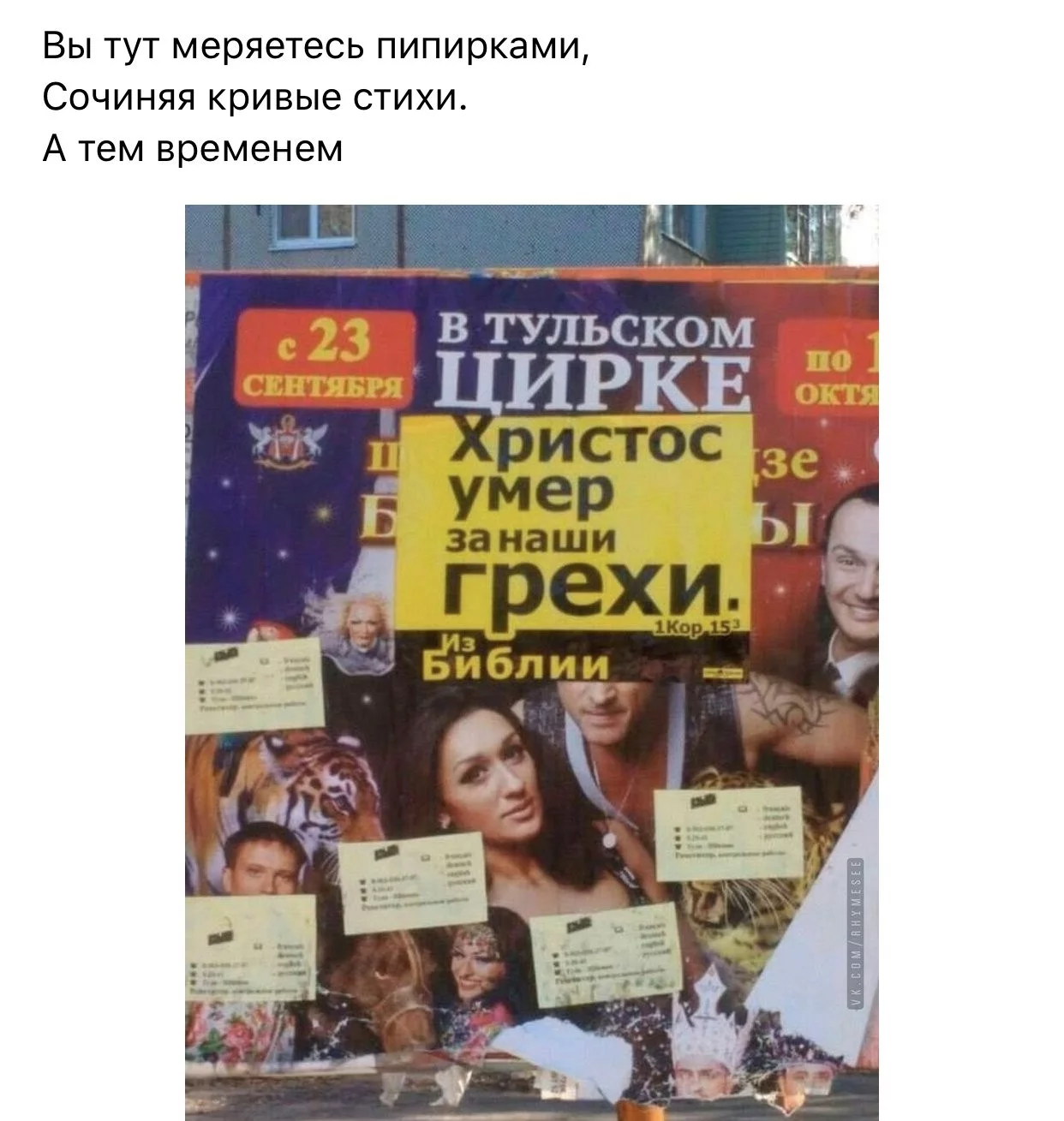 44263b4ef36b88bb9d50.webp