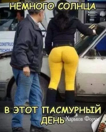 442e6e5573488bbf8b5927.webp