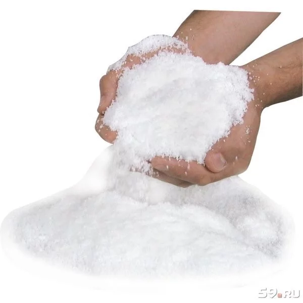 443125d4c4c20564.webp