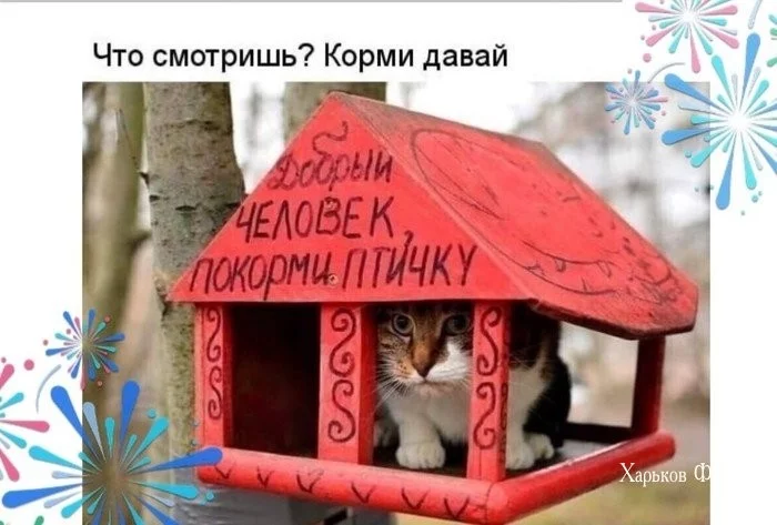 44349a21dfccbdb204b8.webp