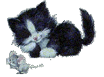 443710513.gif