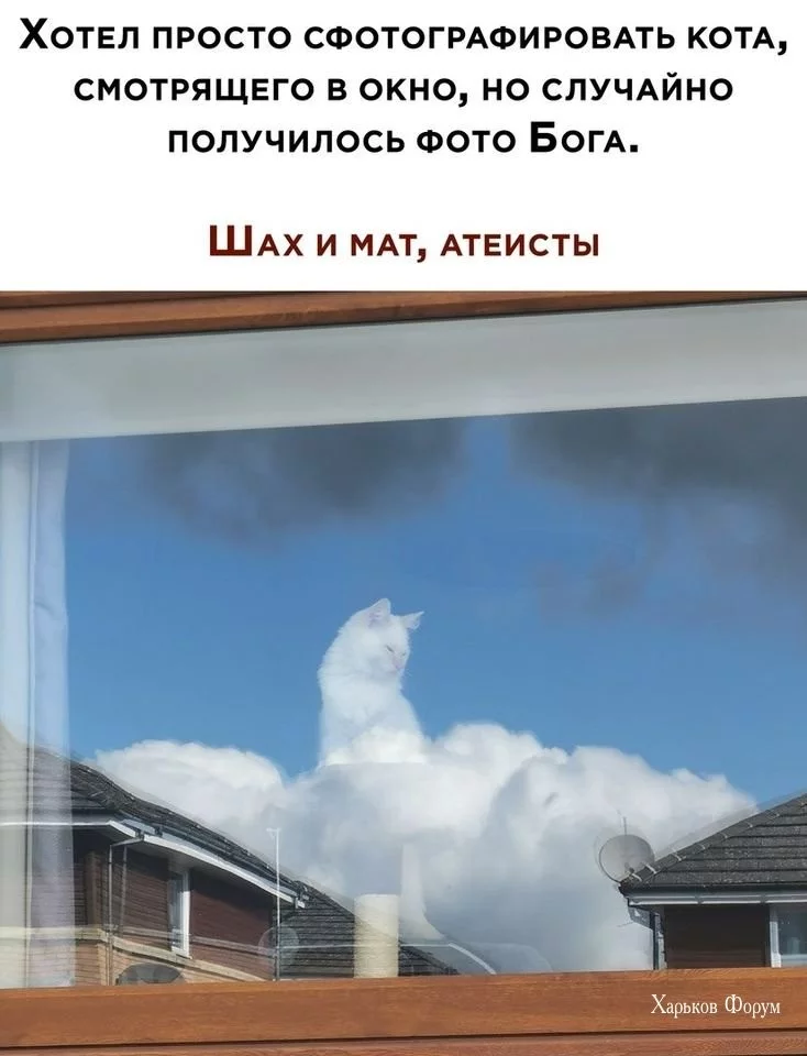 443a1dbd40ae775bf.webp