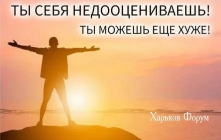 443d7f374ae1904d047.webp