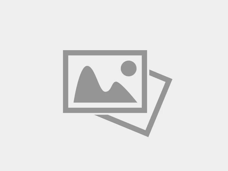 4442.webp