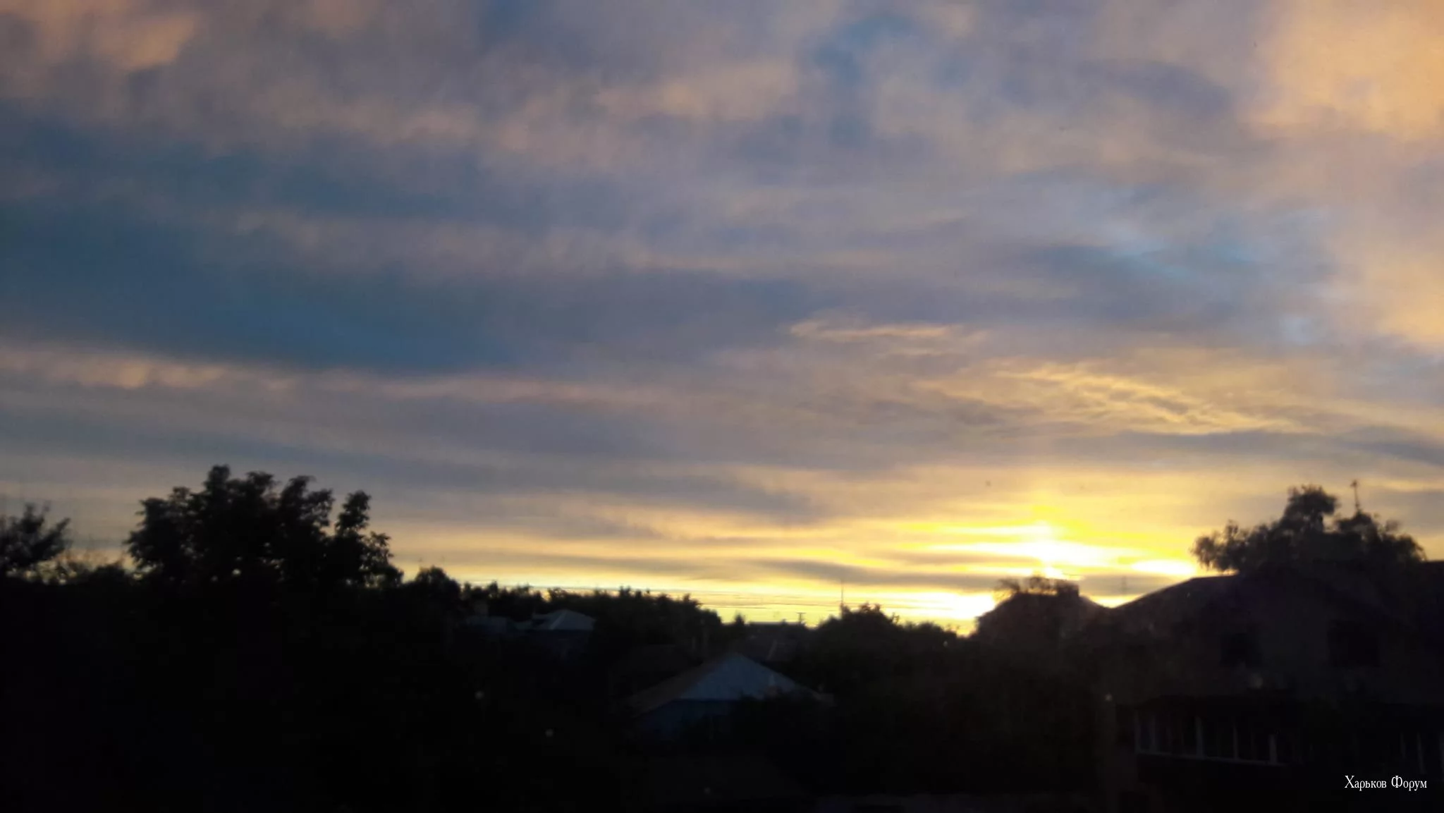 444409cf20eec066d1c68519.webp