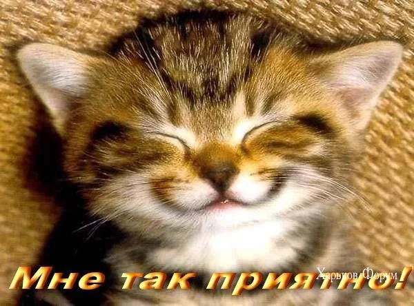 4463d3073474e8cf499e952e.webp