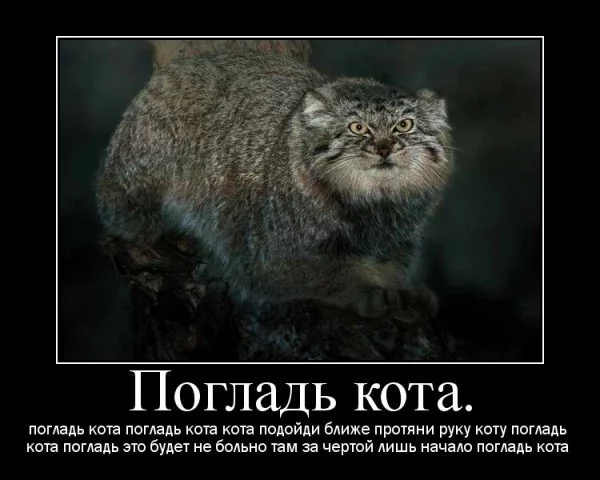 44648860.webp