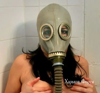 446db4dc616904416229a211.webp