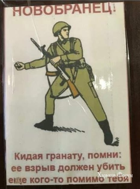 447f9df6d9936d5cb.jpg