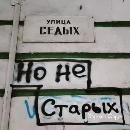 4483b31c7224d94cd050e3.webp