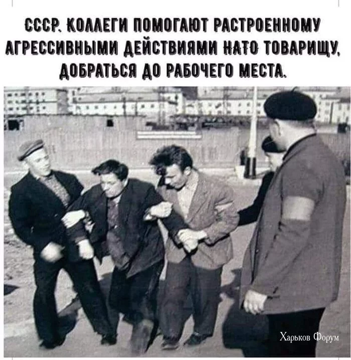 4492108082b06fdc0636e97d.webp