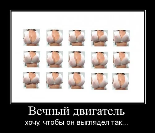44979.webp