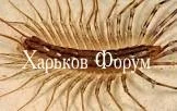 449c204c26fe05ab2418.webp