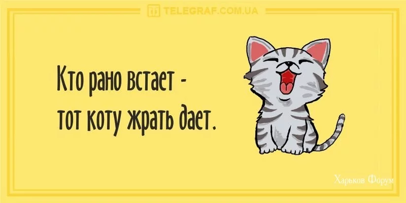 44a002ba1dc94d5d77bc8dc2.webp