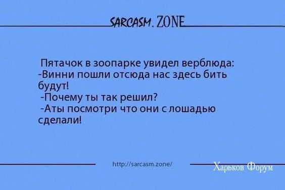 44aee154450ebd78716d.webp