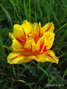44b20ea2abb48219820876.webp