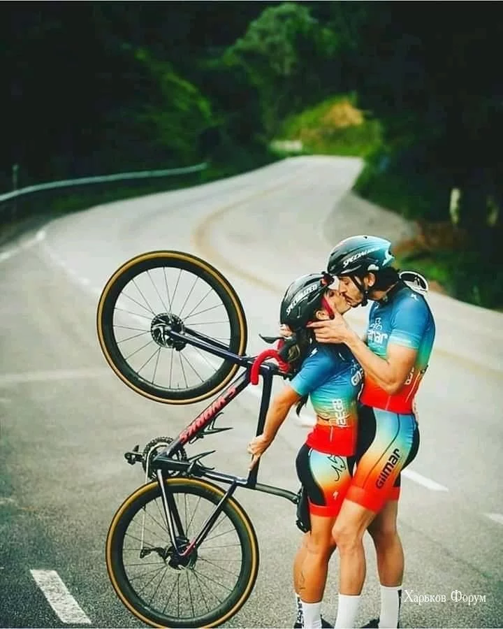44b26925f3e77557e602.webp