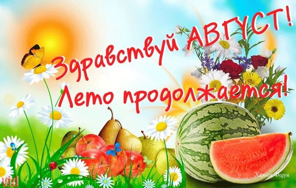 44faf7b13622ac8a7744.webp