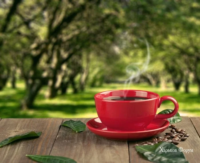 44fca7ab6c9853b510ee8.webp