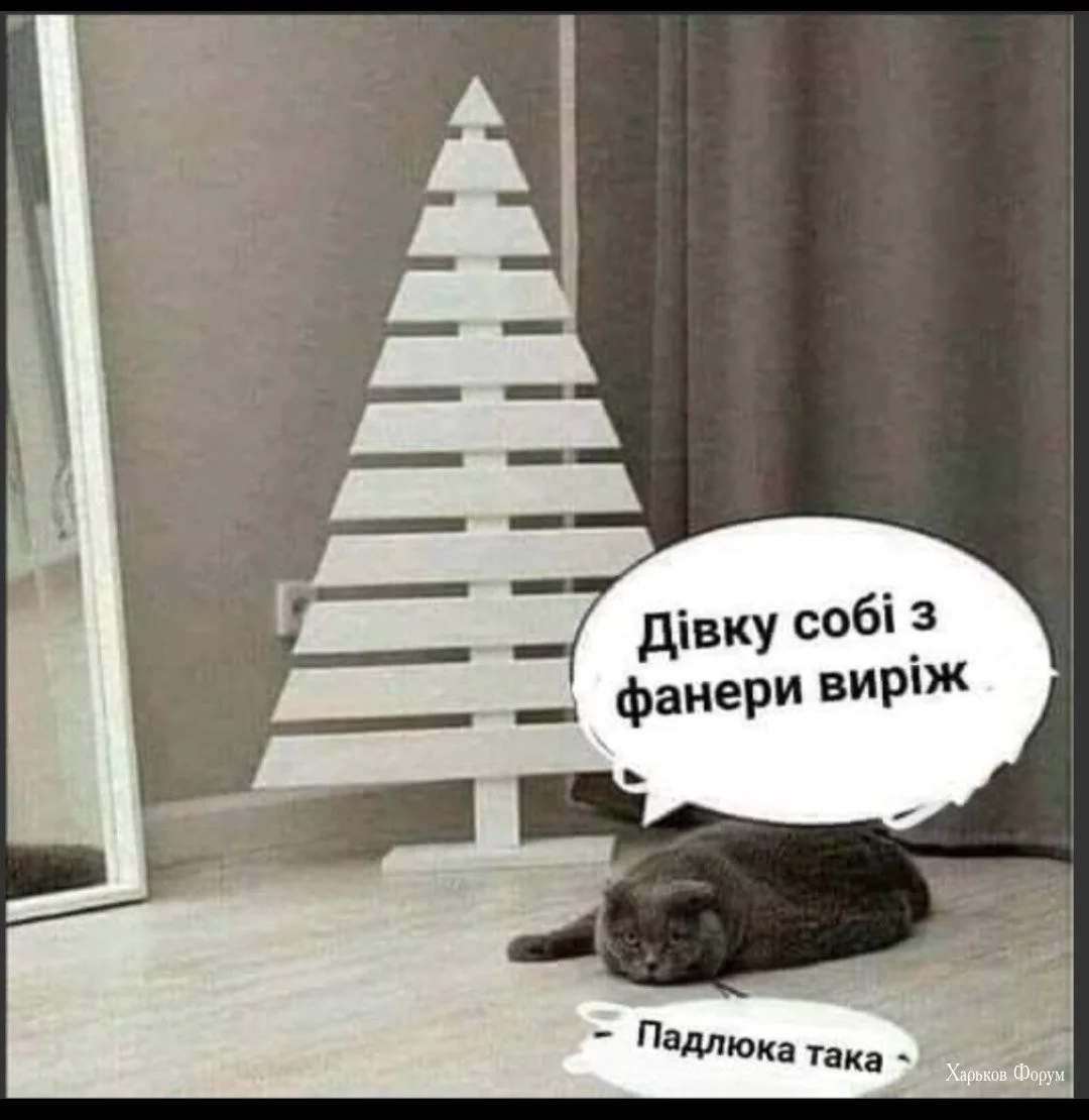 44fec31b95bf382bfcb354.webp