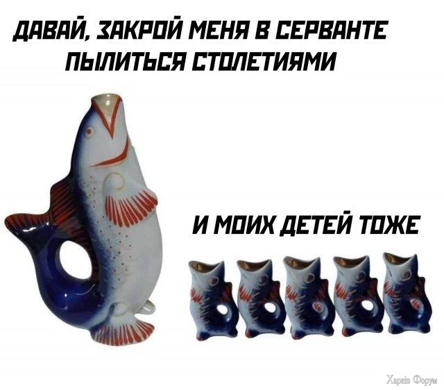 45.webp